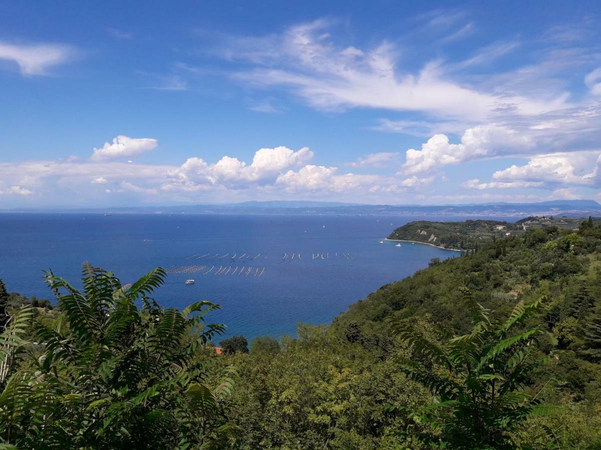 Apartma Kocevar Portorož Kültér fotó