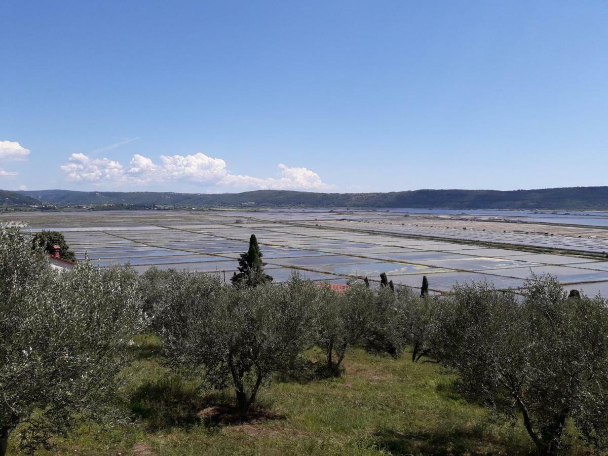 Apartma Kocevar Portorož Kültér fotó